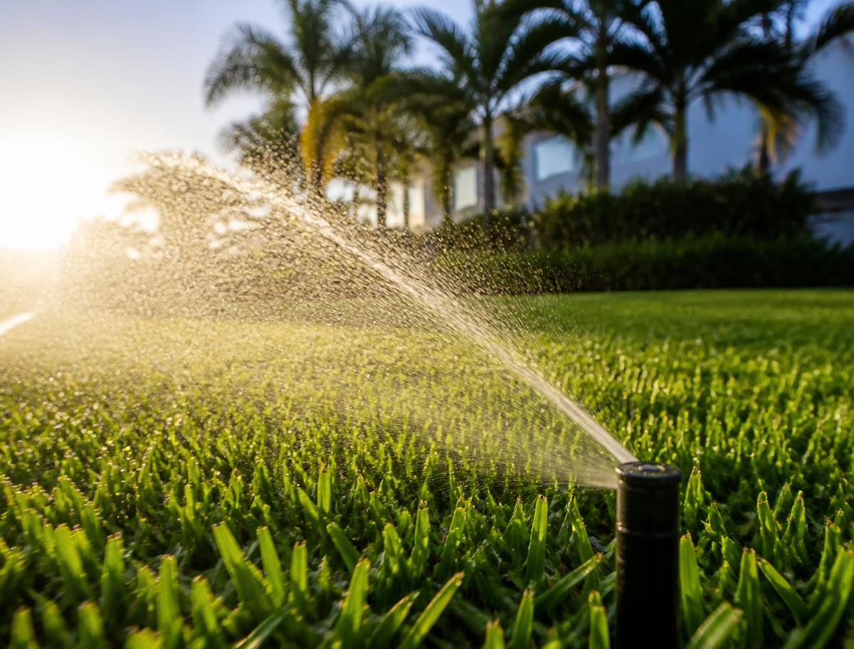 Pop-up sprinkler head watering a lush green Florida lawn at sunset